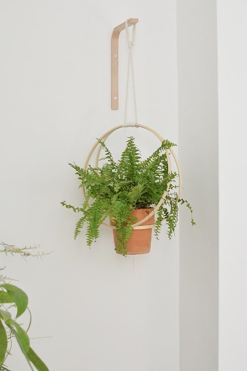 DIY Indoor Plant Display Ideas 8