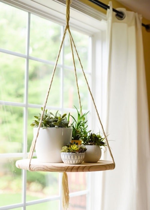 DIY Indoor Plant Display Ideas 10