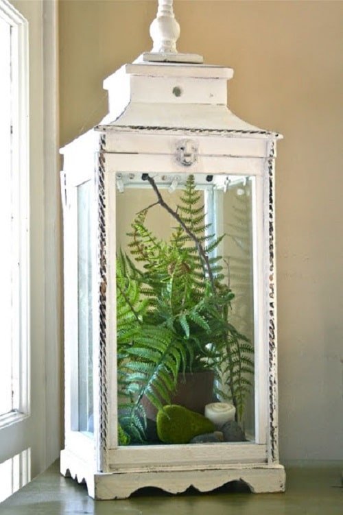 DIY Indoor Plant Display Ideas 2