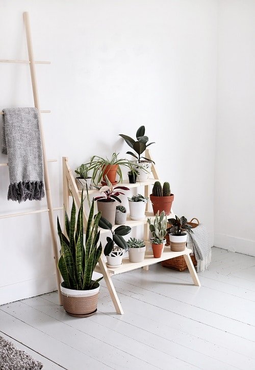 DIY Indoor Plant Display Ideas 3