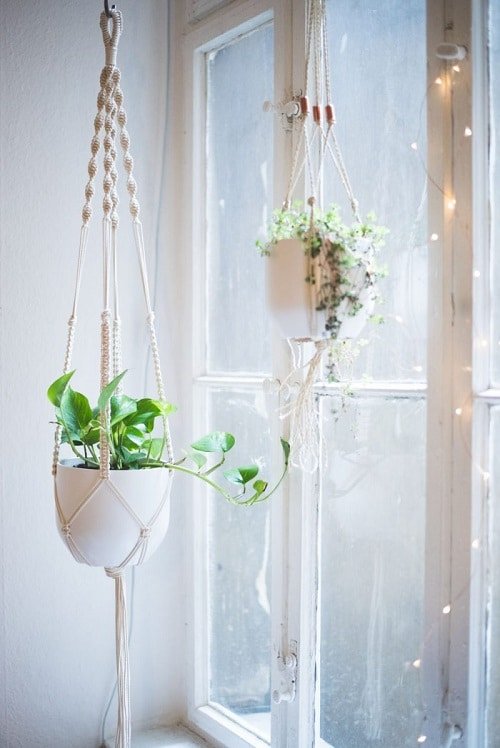 DIY Indoor Plant Display Ideas 5