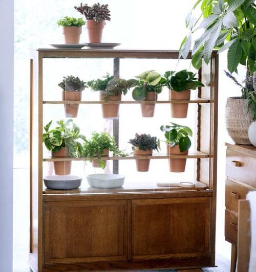 Old Plant Cabinets into Plants Home