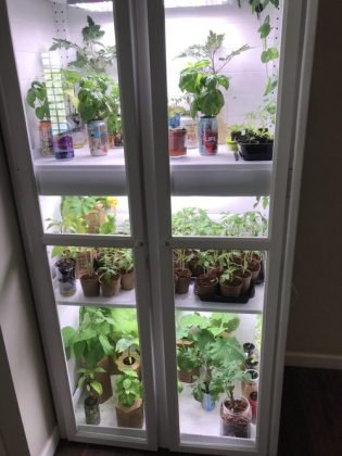 10 Creative DIYs to Turn Old Plant Cabinets into Plant Homes
