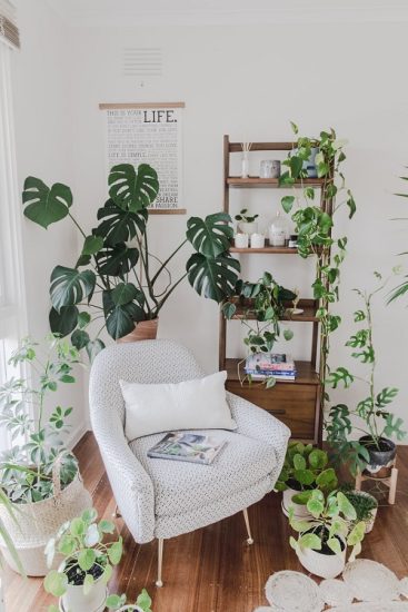 40 Stunning Indoor Plant Corner Ideas | Balcony Garden Web