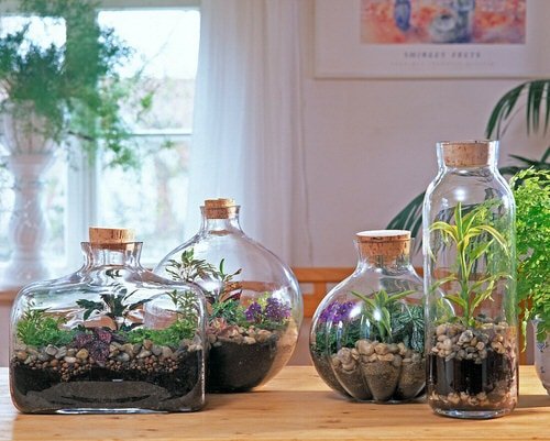 Unbelievable Sealed Bottled Gardens Ideas 15