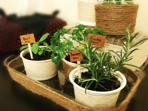 Smart Miniaturized Indoor Garden Projects 7