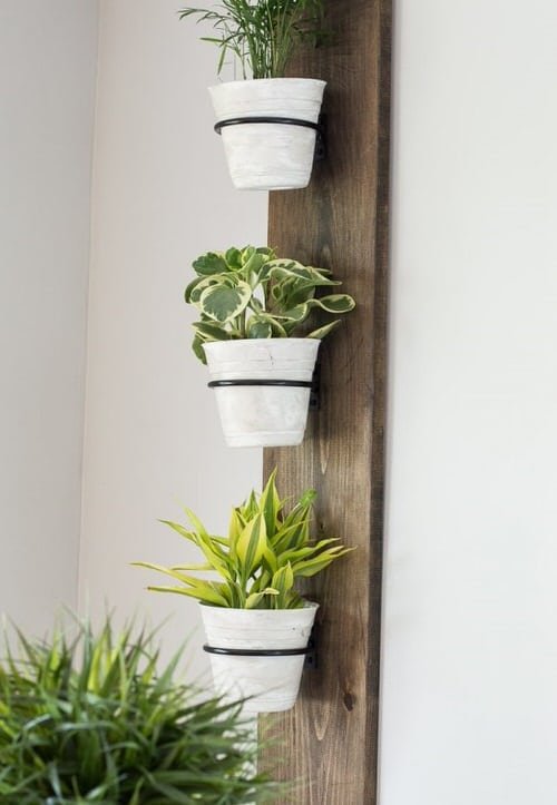 Old Wooden Boards Used to Create Brilliant Vertical Gardens 9