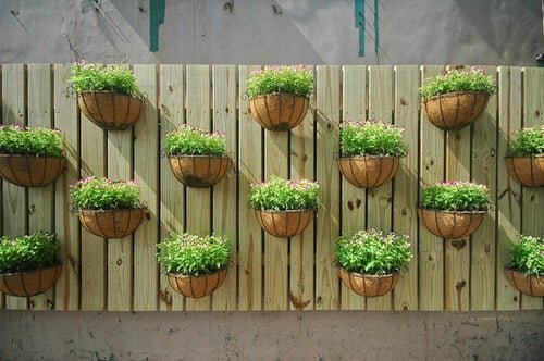 Old Wooden Boards Used to Create Brilliant Vertical Gardens