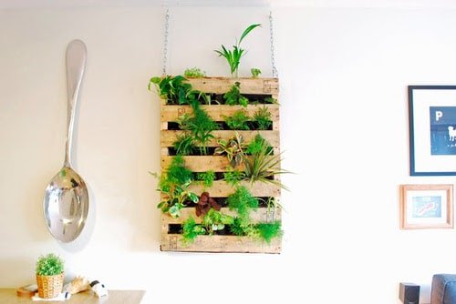 Smart Miniaturized Indoor Garden Projects