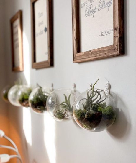 20 Pictures of Mini Vertical Garden Ideas with Air Plants