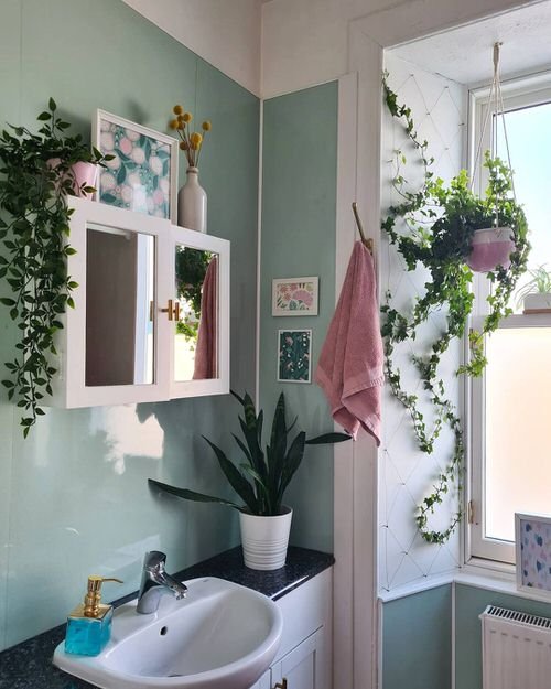 26 Indoor Climbers Pictures Inspiration for Houseplant Growers
