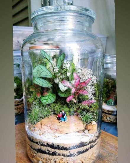 29 Smart Miniaturized Indoor Garden Projects With Succulents & Plants