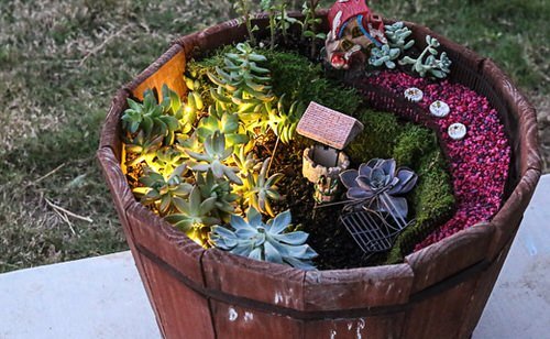 DIY Miniature Fairy Garden Ideas 23