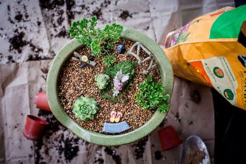 DIY Miniature Fairy Garden Ideas 27