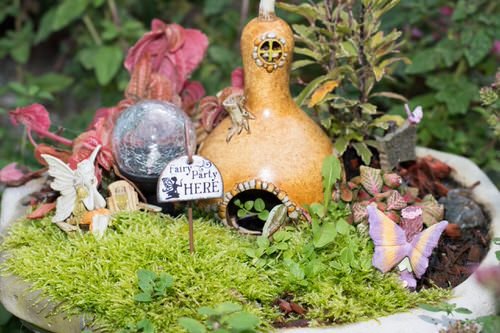 DIY Miniature Fairy Garden Ideas 29