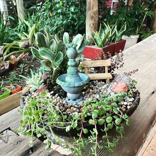 DIY Miniature Fairy Garden Ideas 38