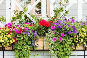 30 Stunning Window Garden Pictures | Balcony Garden Web