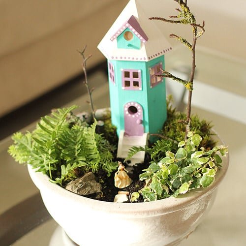 DIY Miniature Fairy Garden Ideas 5