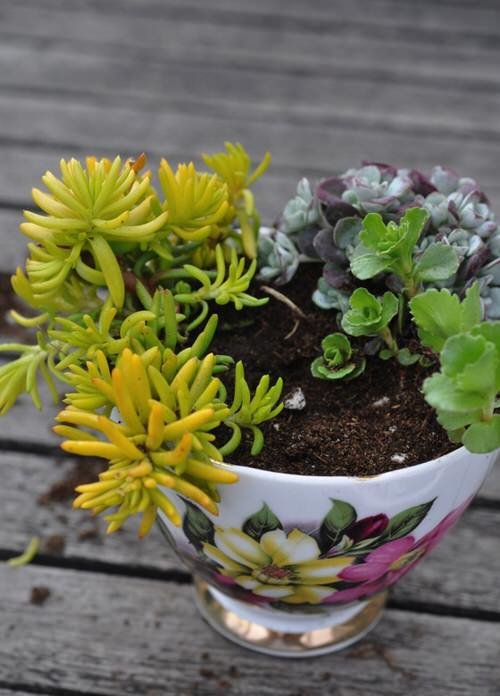 Smart Miniaturized Indoor Garden Projects 4
