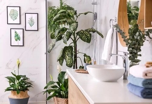 36 Awesome Pictures of Bathroom with Plants for Inspiration 15