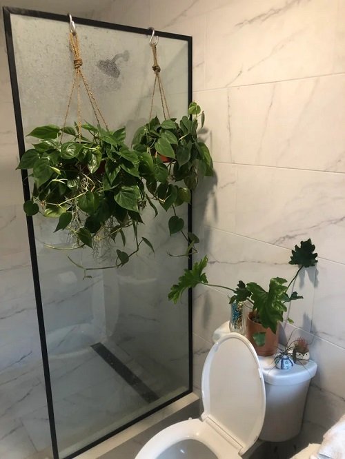 36 Awesome Pictures of Bathroom with Plants for Inspiration 14