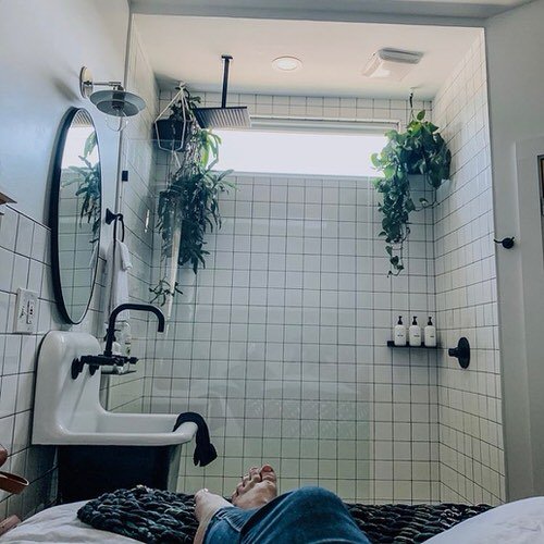 Pictures of Bathroom with Plants 6