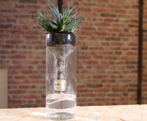 DIY Indoor Self Watering Planter Ideas 6