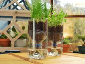 18 DIY Indoor Self Watering Planter Ideas | Balcony Garden Web