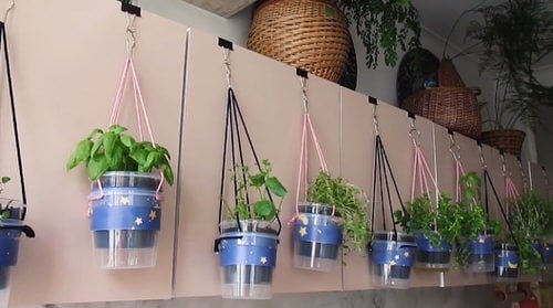 Make Your Own Hanging Garden 7
