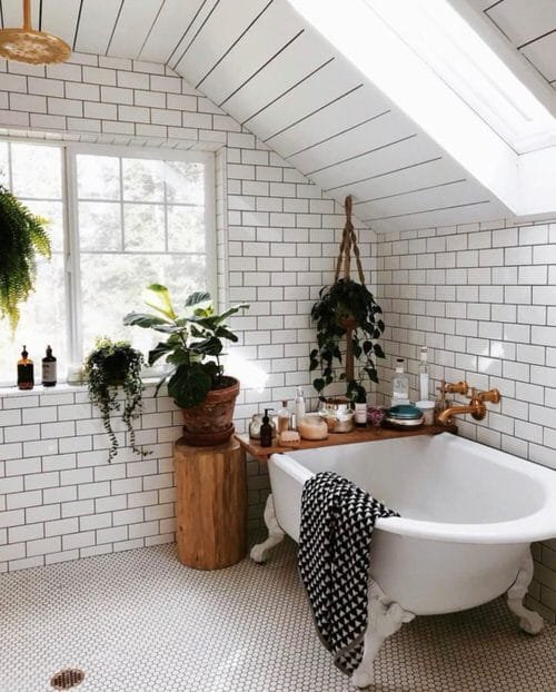 Pictures of Bathroom with Plants 11