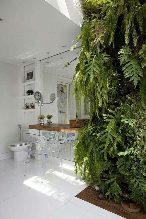 Pictures of Ferns in Bathroom 11