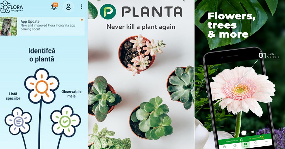 23 Best Plant Identification Apps For