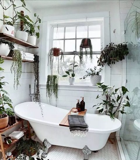 36 Awesome Pictures of Bathroom with Plants for Inspiration