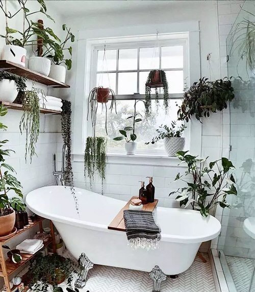 36 Awesome Pictures of Bathroom with Plants for Inspiration 13