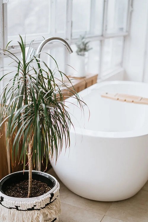 36 Awesome Pictures of Bathroom with Plants for Inspiration 16