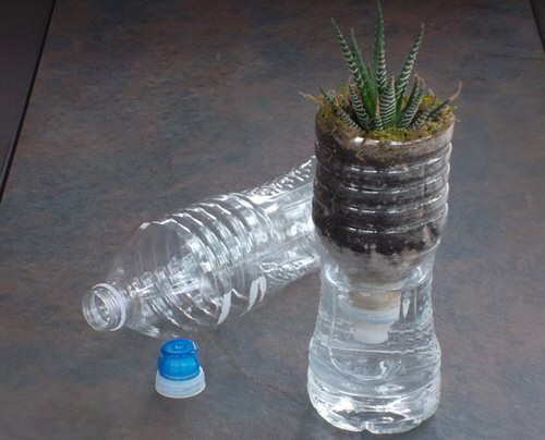 DIY Indoor Self Watering Planter Ideas 2