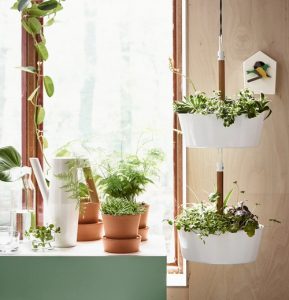 These Pictures Prove that How IKEA Pots Change the Look of Indoor Plants