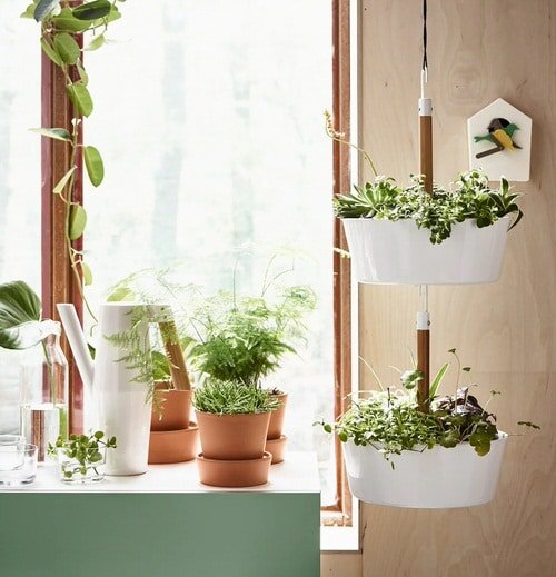 How IKEA Pots Change the Look of Indoor Plants 2