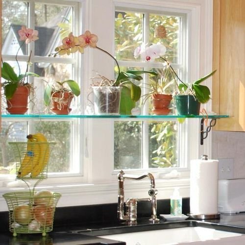 Pictures of Houseplants on Kitchen Windowsill 3