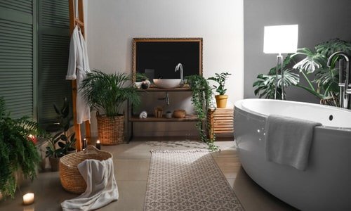 Pictures of Bathroom with Plants 3