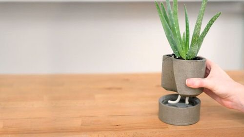 DIY Indoor Self Watering Planter Ideas 3