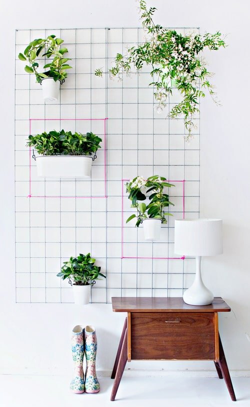 How IKEA Pots Change the Look of Indoor Plants 3