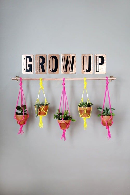 Make Your Own Hanging Garden 3