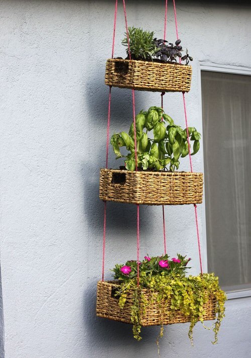 Make Your Own Hanging Garden 4