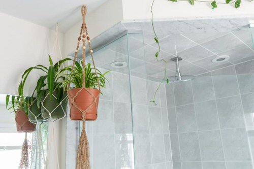 Pictures of Bathroom with Plants 5