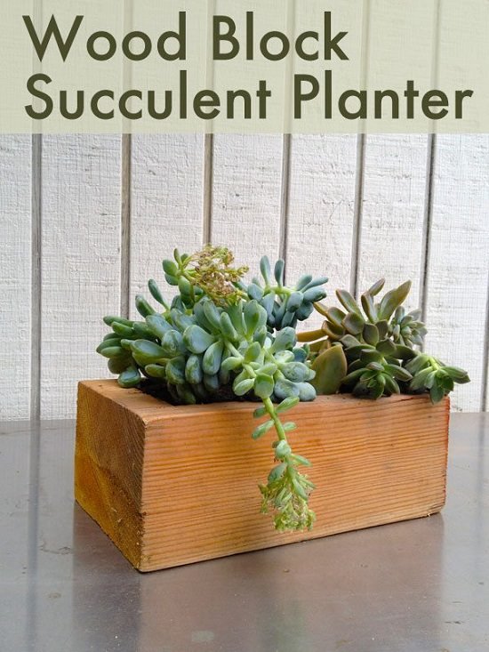 Wood Block Succulent Planter