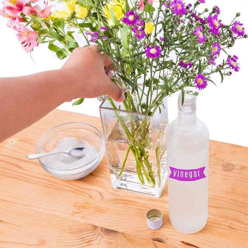 adding vinegar to cut flowers