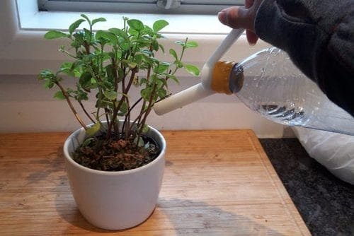 DIY Watering Can Ideas 20