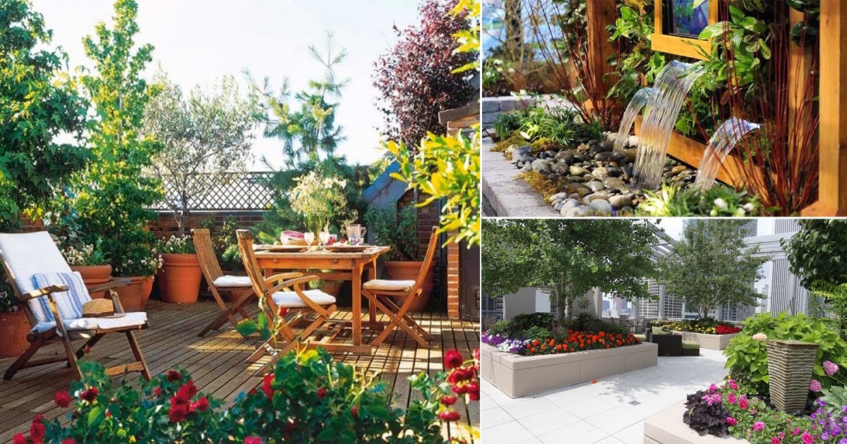 Rooftop Garden Inspirations: Green Retreats Above the City