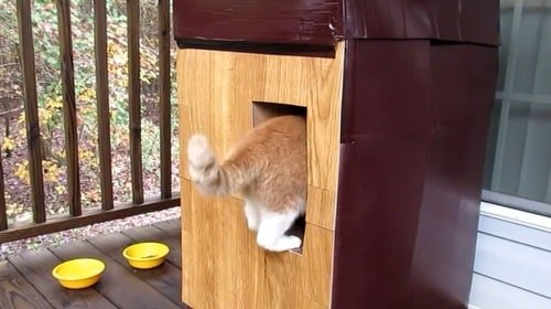 DIY Outdoor Cat House Ideas 8